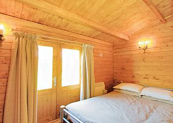 Woodpecker sleeps 4