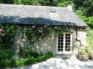 Cornflower is located in Portloe