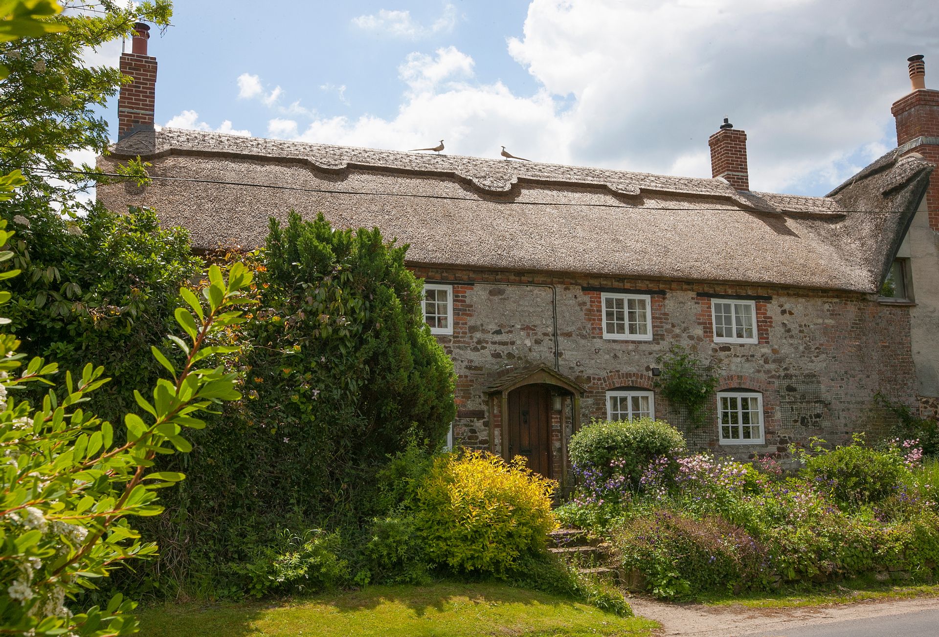 Dorset Cottage Holidays - Click here for more about Odd Nod Cottage
