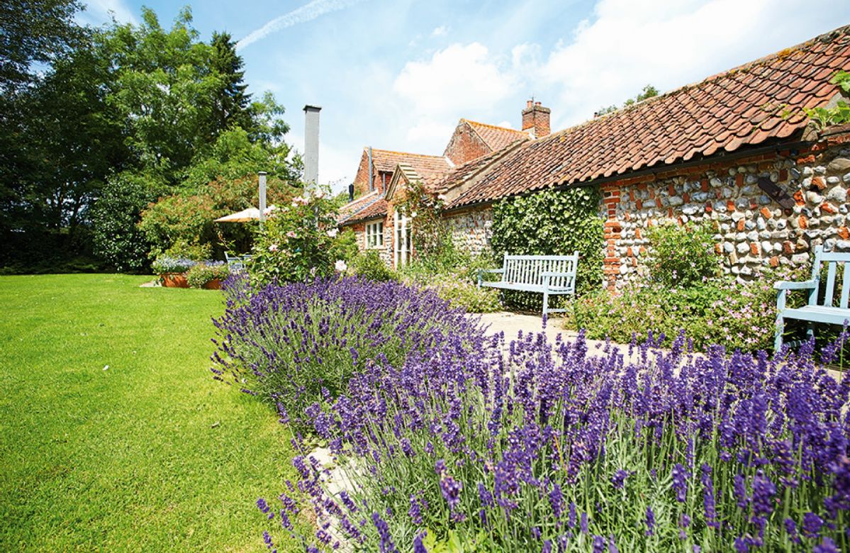 Norfolk Cottage Holidays - Click here for more about Pear Tree Cottage