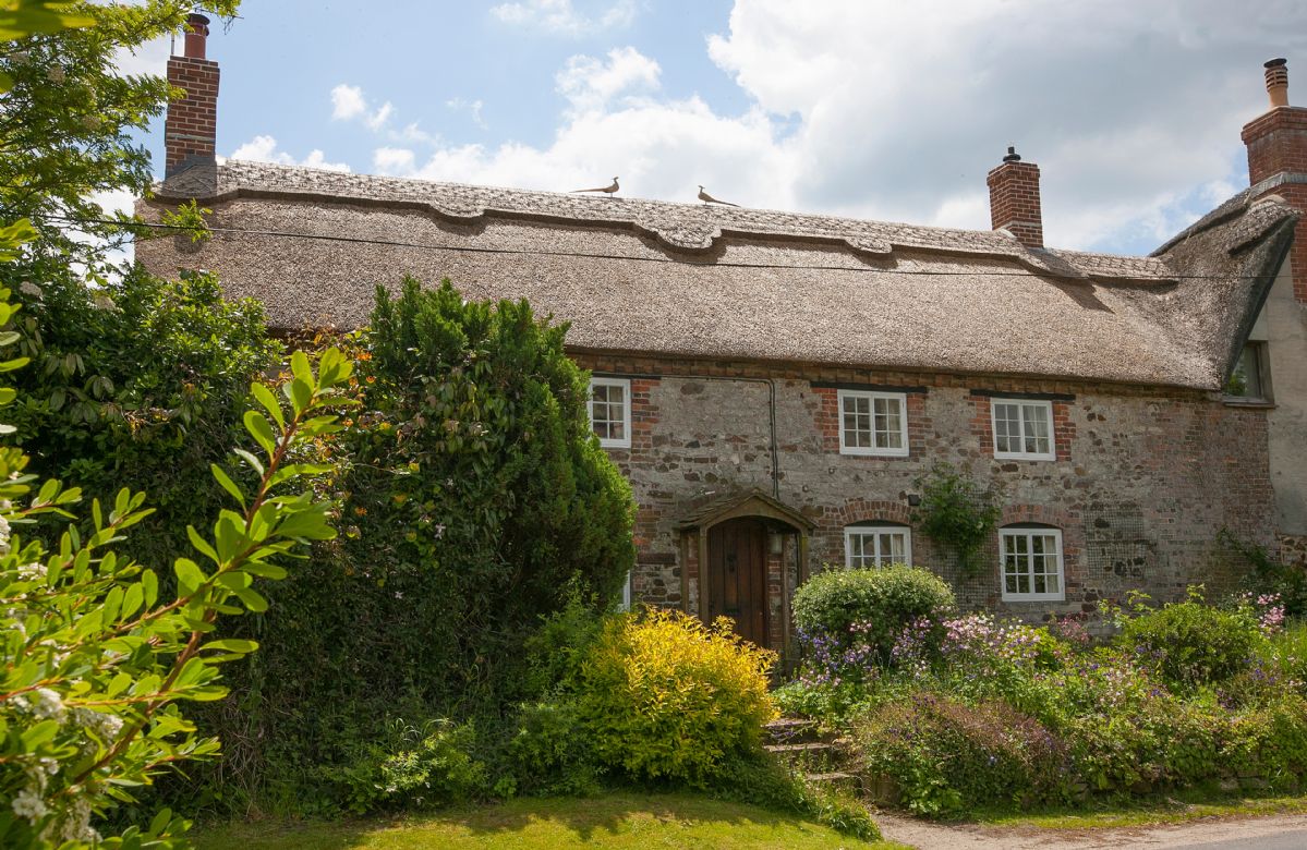 Dorset Cottage Holidays - Click here for more about Odd Nod Cottage