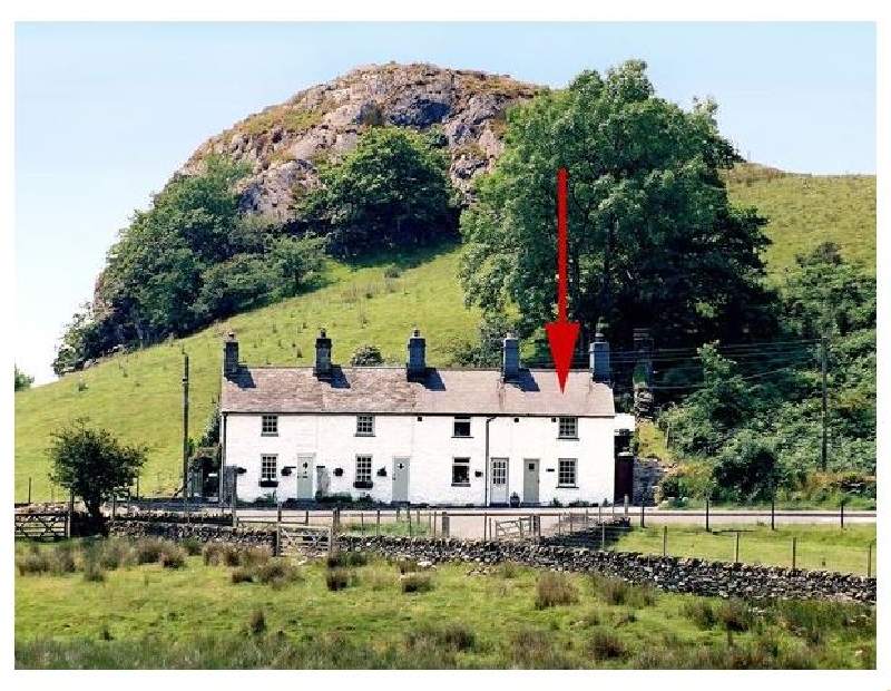 Click here for more about Carreg Gleision