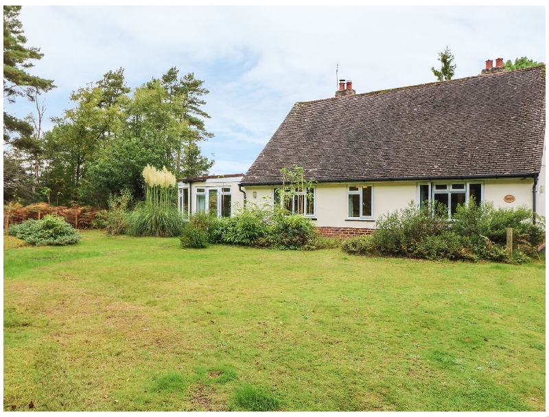 Dorset Cottage Holidays - Click here for more about The Rowans