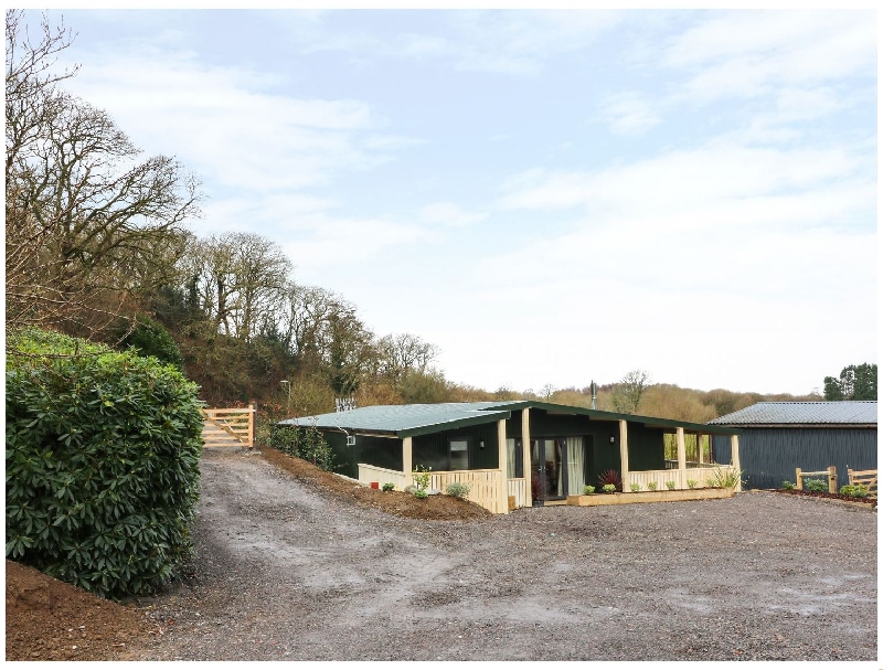 Click here for more about Y Felin - Moana