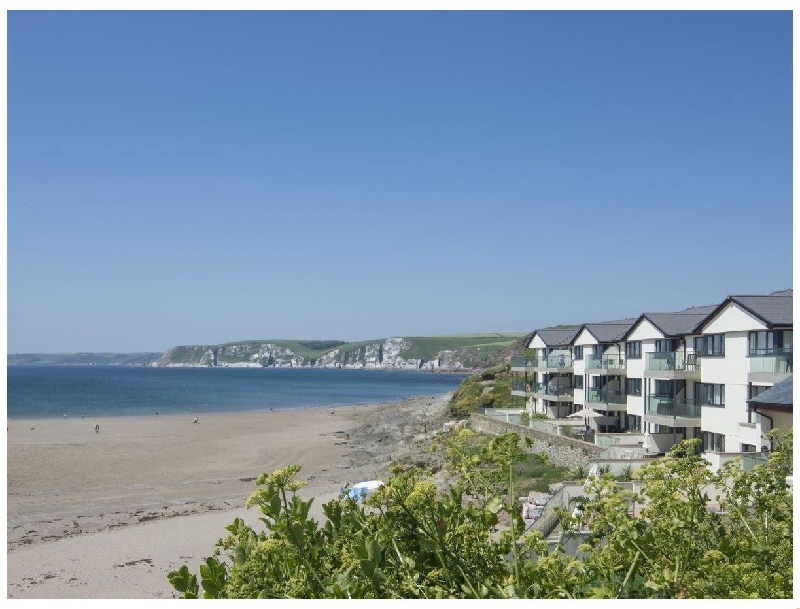 Click here for more about 23 Burgh Island Causeway