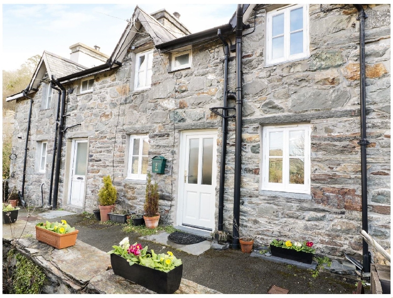 Click here for more about 2 Fron Goch