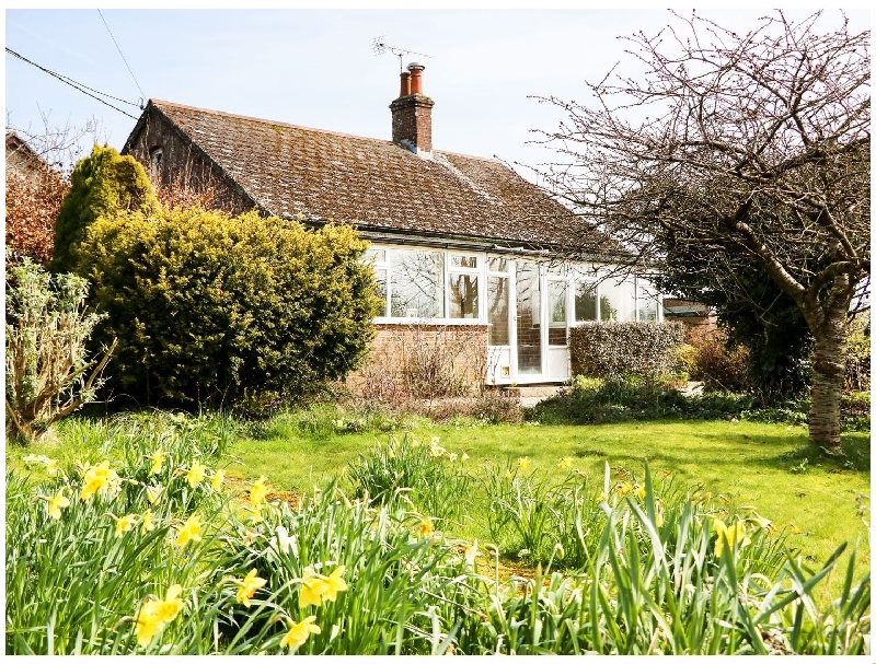 Dorset Cottage Holidays - Click here for more about Sunny Croft