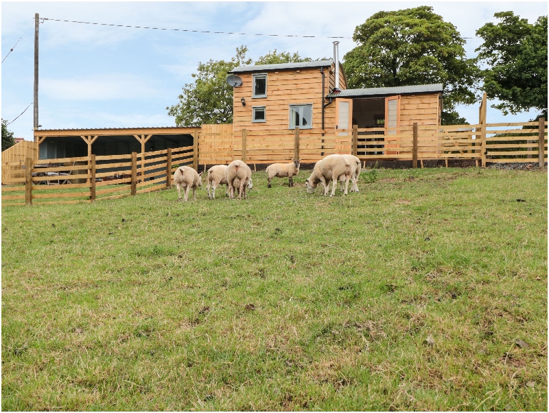 Shropshire Cottage Holidays - Click here for more about Shepherds Cabin at Titterstone