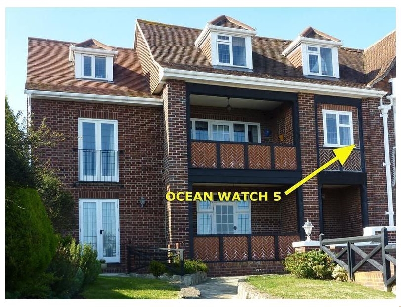Click here for more about Ocean Watch 5