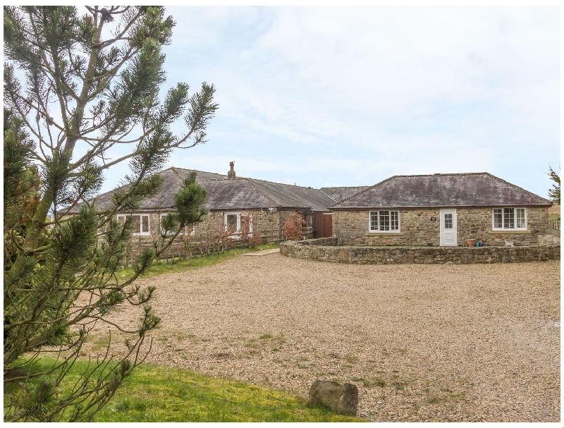 Click here for more about Curlew