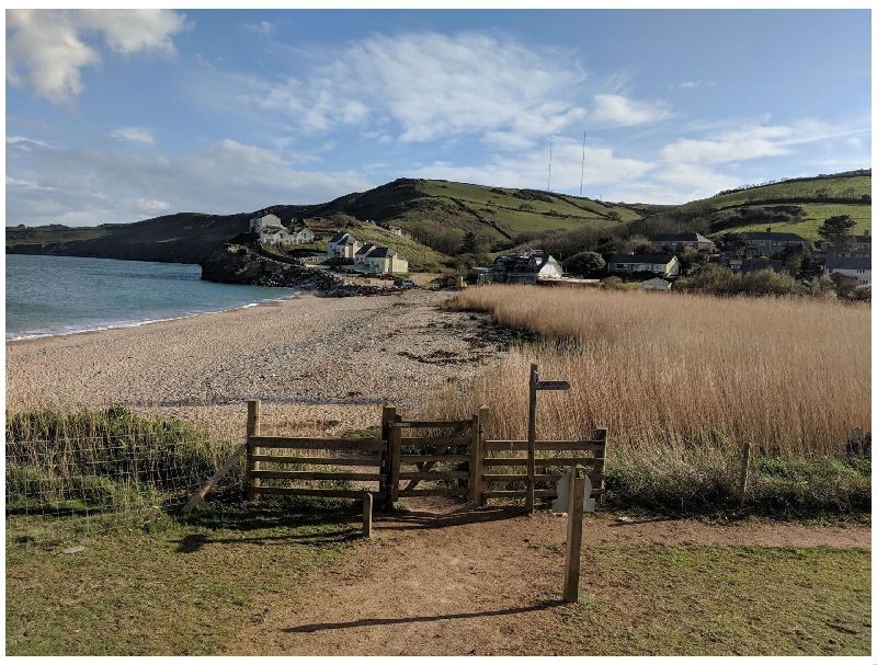 Click here for more about Driftwood