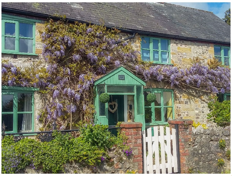 Somerset Cottage Holidays - Click here for more about 2 Wisteria Cottages